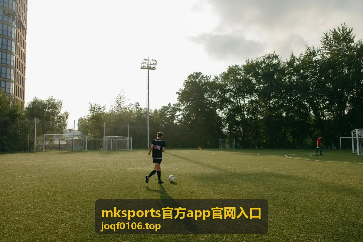 mksports官方app官网入口数据面板与走势视图界面示意