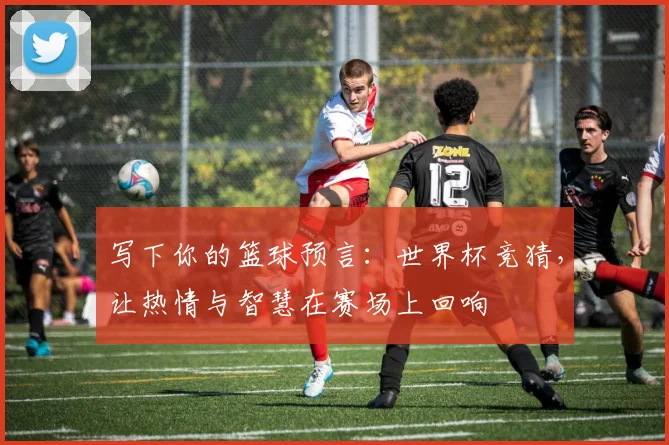 写下你的篮球预言：世界杯竞猜，让热情与智慧在赛场上回响