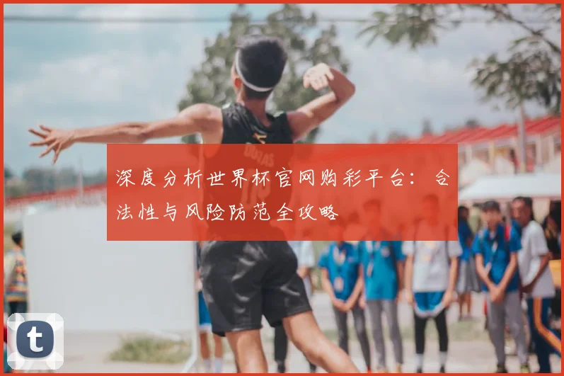 深度分析世界杯官网购彩平台：合法性与风险防范全攻略