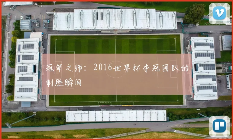 冠军之师：2016世界杯夺冠团队的制胜瞬间
